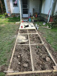Filled In Here we are with the frame work done and most of the dirt put back in place. Notice the kitten has made himself right at home.